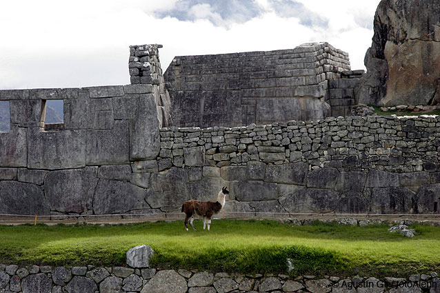 Los incas