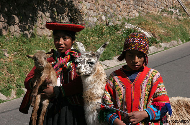 Los incas