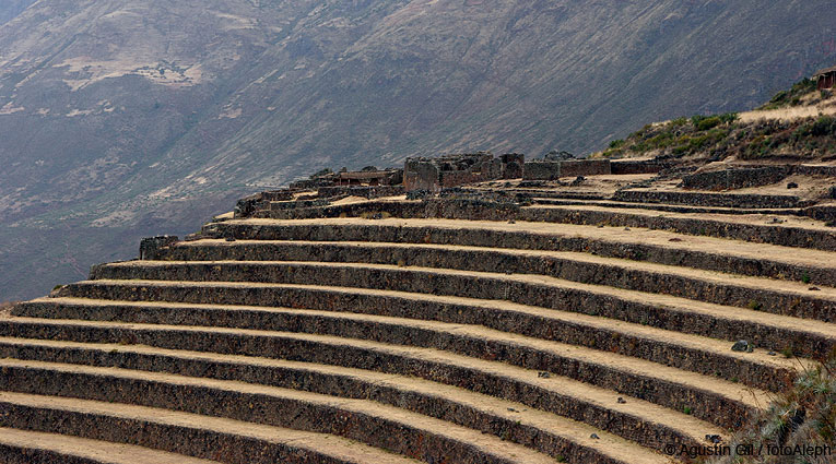 Los incas