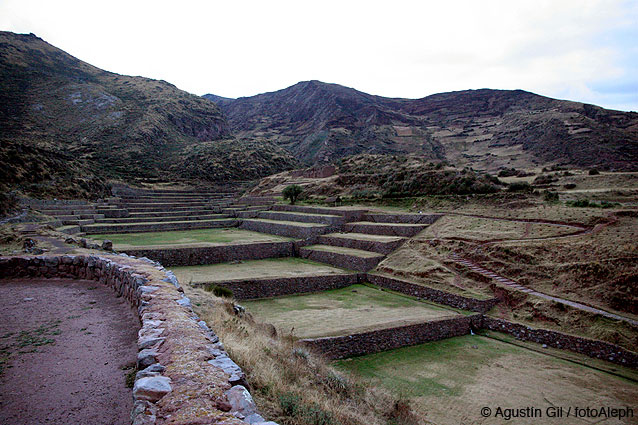 Los incas