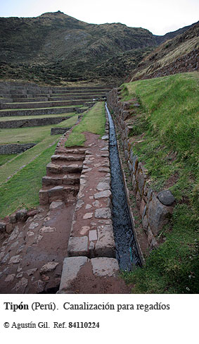 Los incas