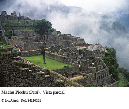 Los incas