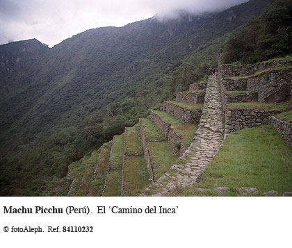 Los incas