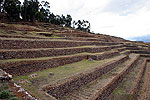 Los incas