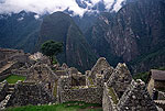 Los incas