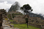 Los incas