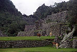 Los incas