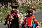 Los incas