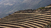 Los incas
