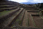 Los incas