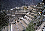 Los incas