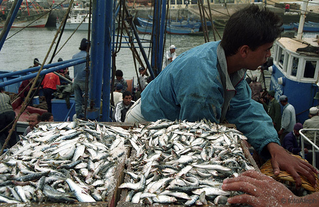 Essaouira