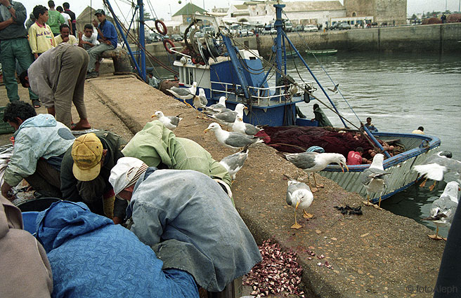 Essaouira