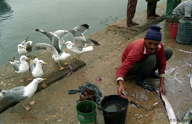 Essaouira