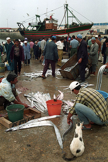 Essaouira