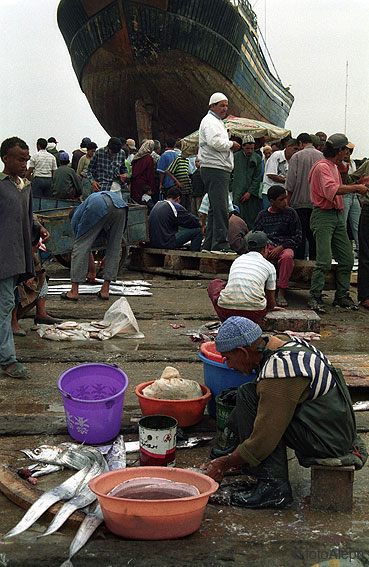 Essaouira