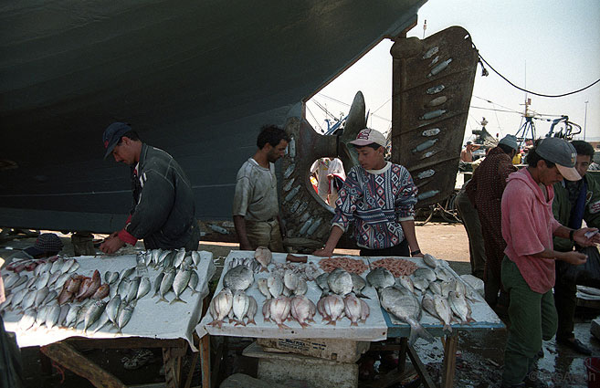 Essaouira