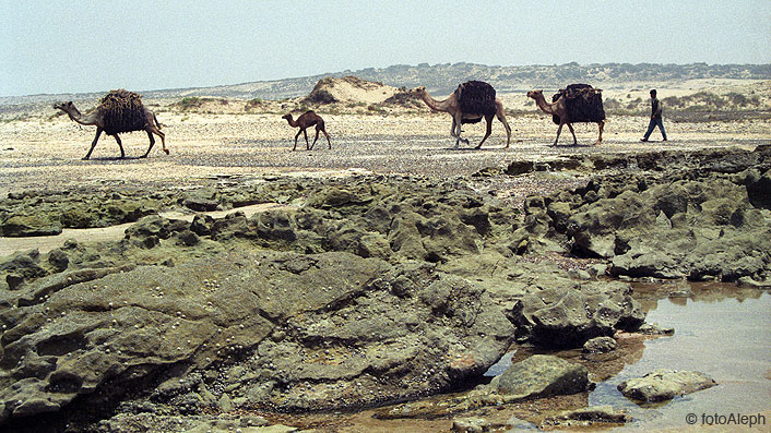 Essaouira