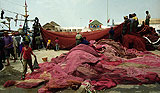 Essaouira