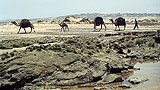 Essaouira