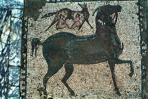 Mosaicos de Tunicia