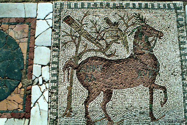 Mosaicos de Tunicia