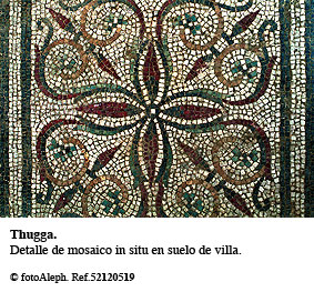 Mosaicos de Tunicia