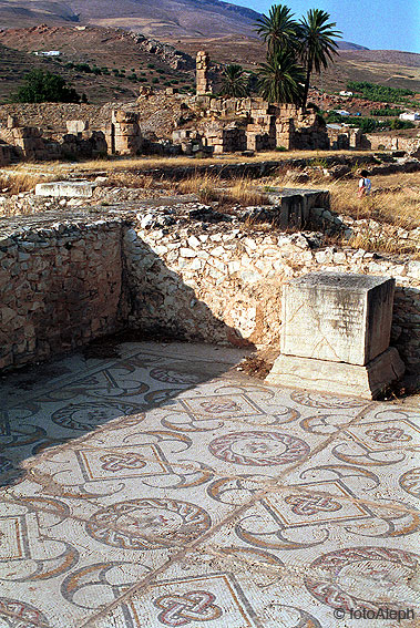 Mosaicos de Tunicia