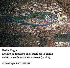 Mosaicos de Tunicia