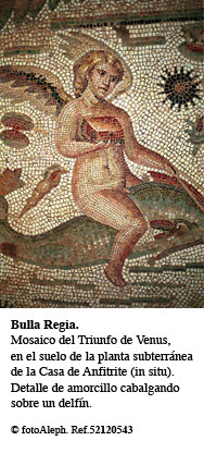 Mosaicos de Tunicia