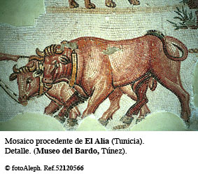 Mosaicos de Tunicia