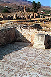 Mosaicos de Tunicia. Mini18