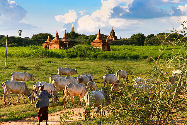 Myanmar