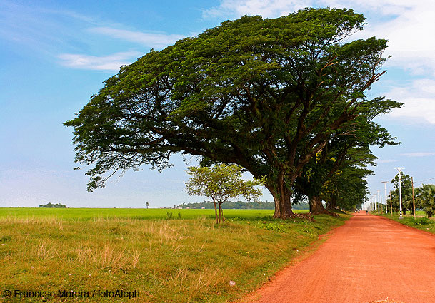 Myanmar