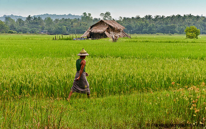 Myanmar