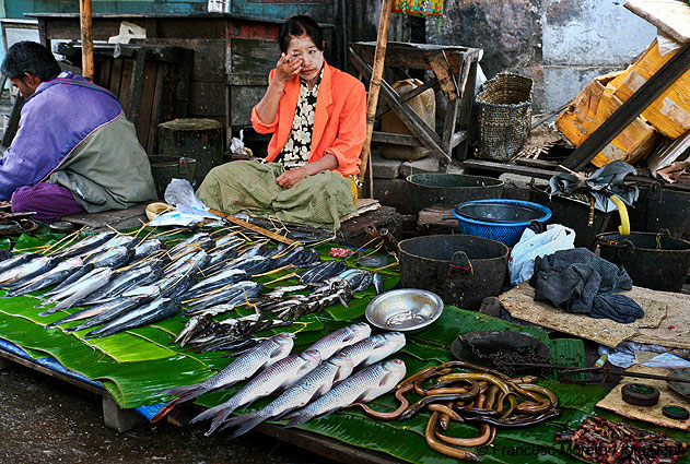 Myanmar