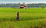 Myanmar
