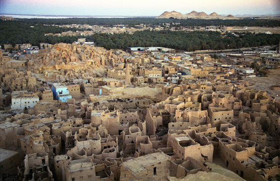 El oasis de Siwa