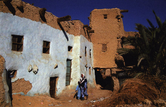 El oasis de Siwa