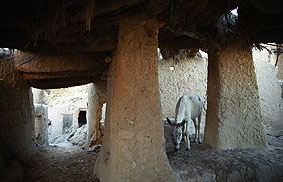 El oasis de Siwa