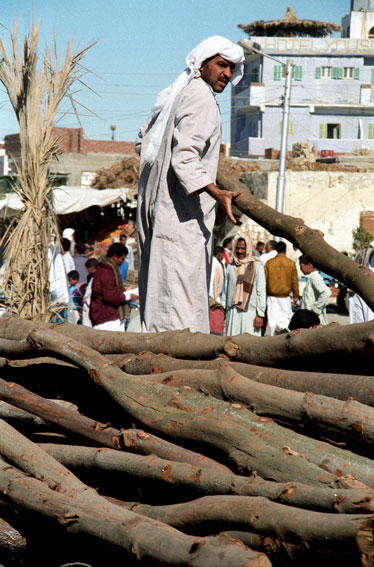 El oasis de Siwa