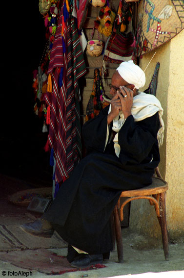 El oasis de Siwa