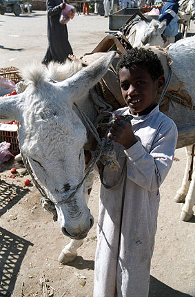 El oasis de Siwa