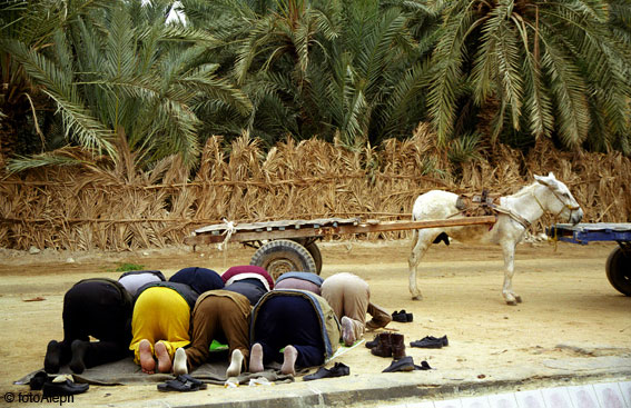 El oasis de Siwa