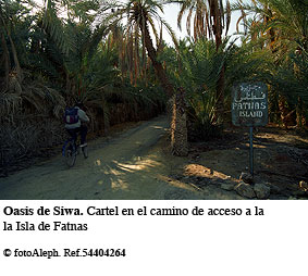 El oasis de Siwa