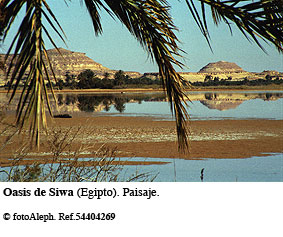 El oasis de Siwa