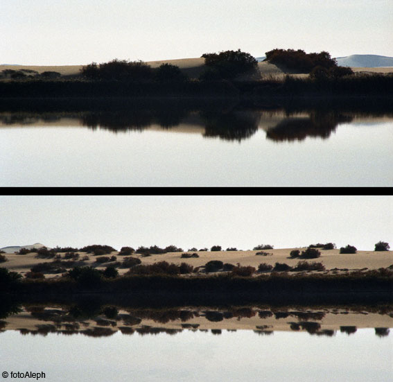 El oasis de Siwa