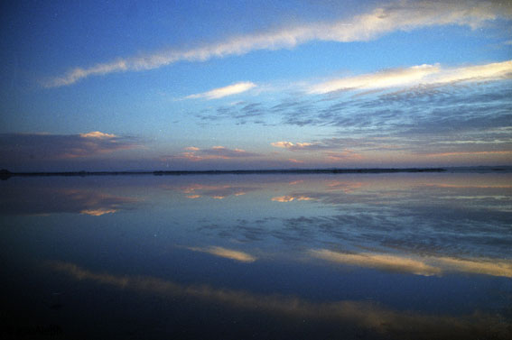 El oasis de Siwa