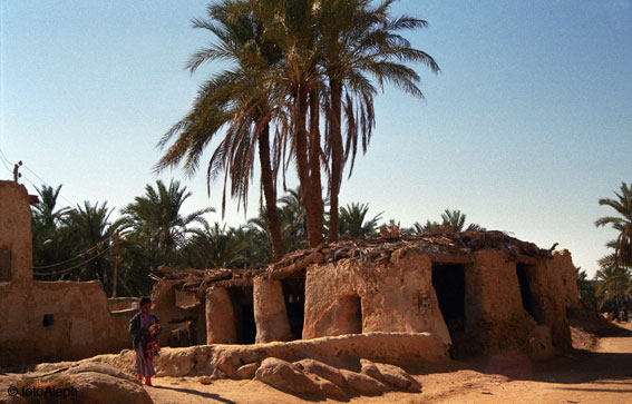 El oasis de Siwa