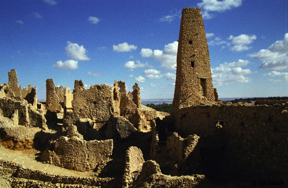 El oasis de Siwa